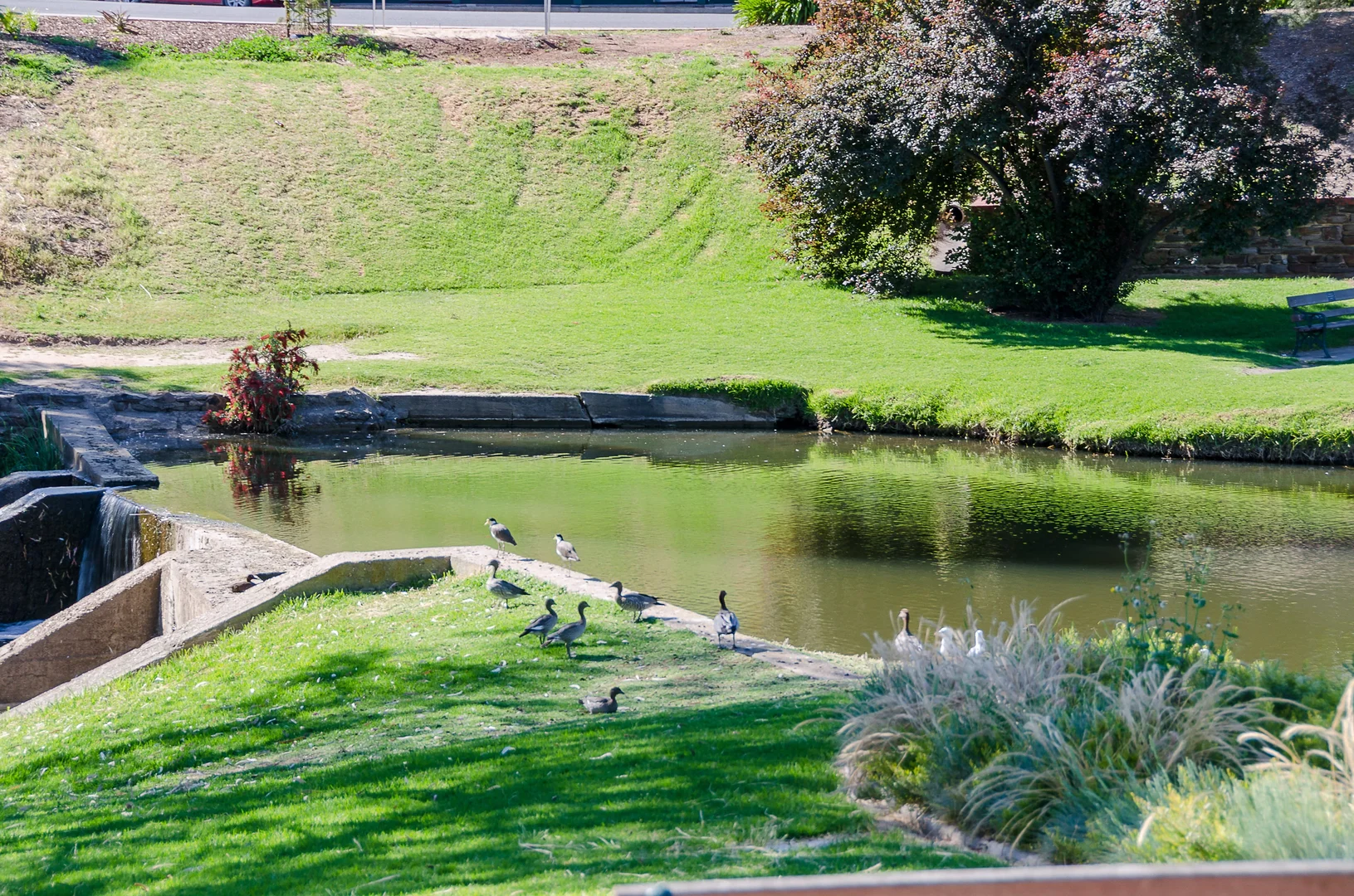 Additional image 23 of 7, 11 Berwick Crescent, Strathalbyn SA 5255