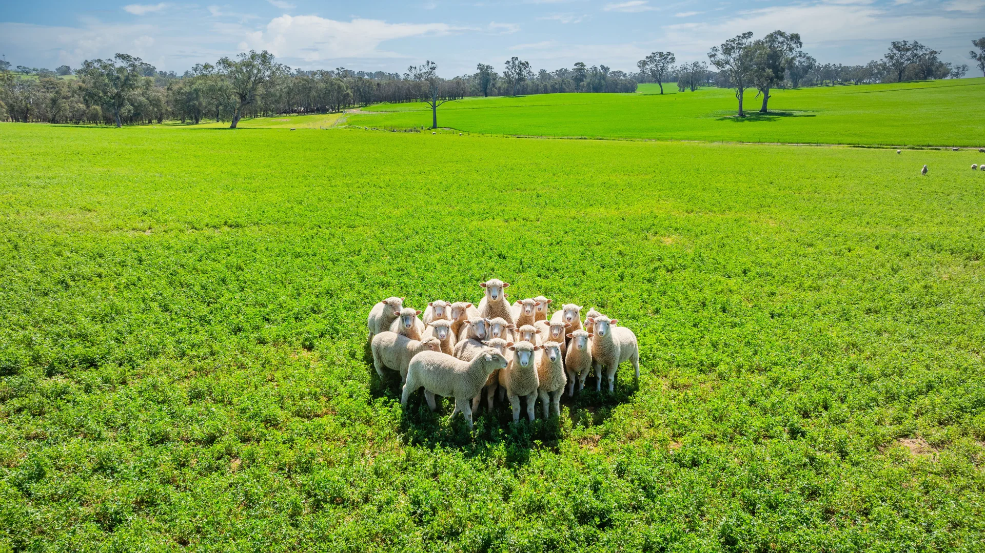 Additional image 10 of 1726 Howlong Burrumbuttock Road, Burrumbuttock NSW 2642