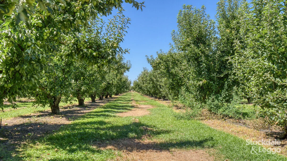 Additional image 24 of 645 New Dookie Road, Lemnos VIC 3631