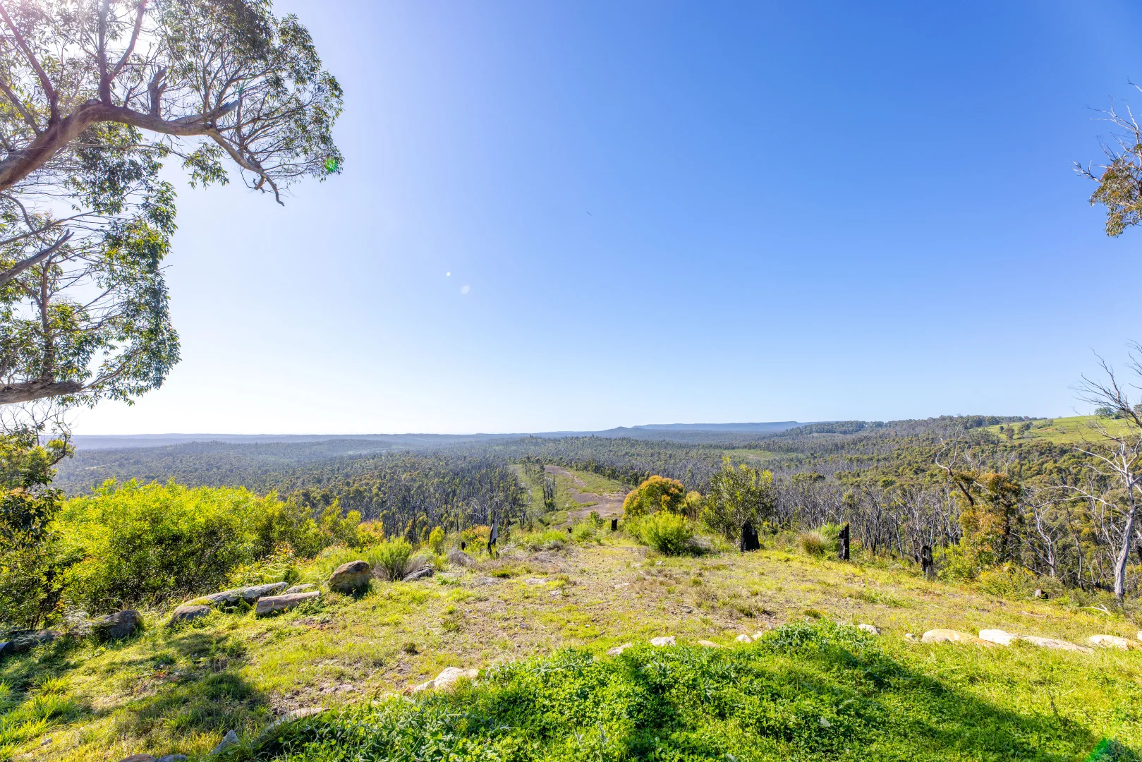 Additional image 3 of Lot 4 Braidwood Road, Sassafras NSW 2622