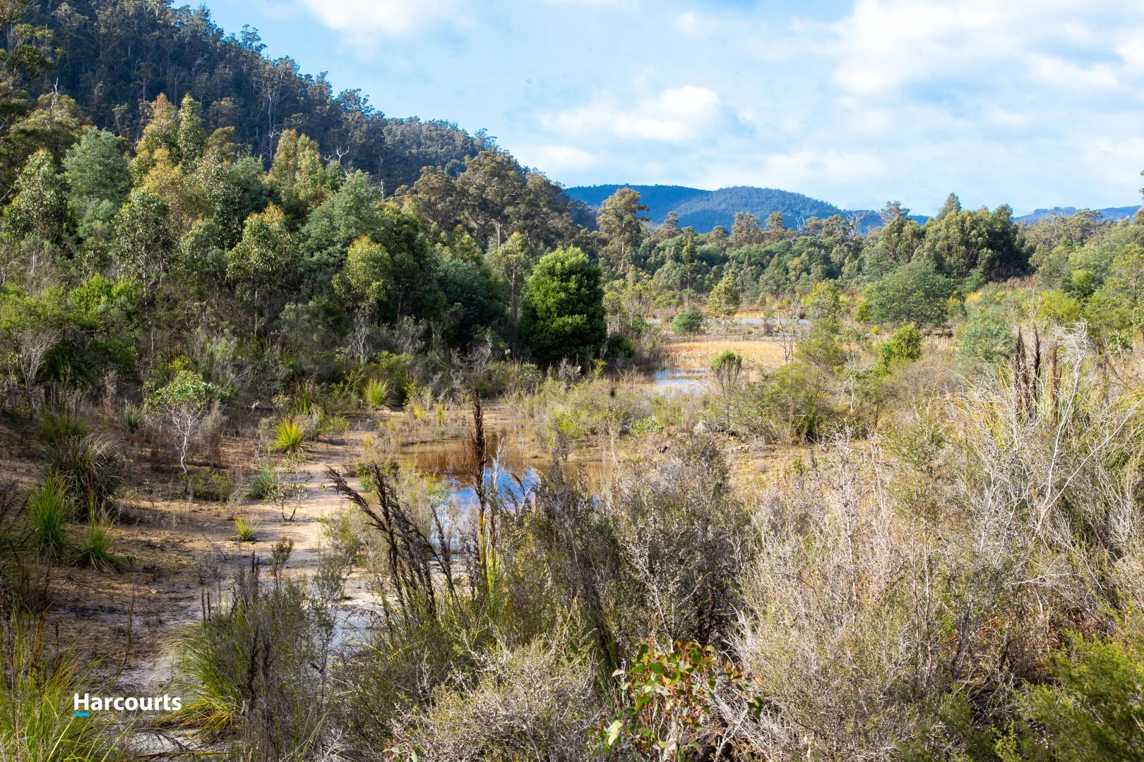 Additional image 7 of 623 Denison Road, Lonnavale TAS 7109