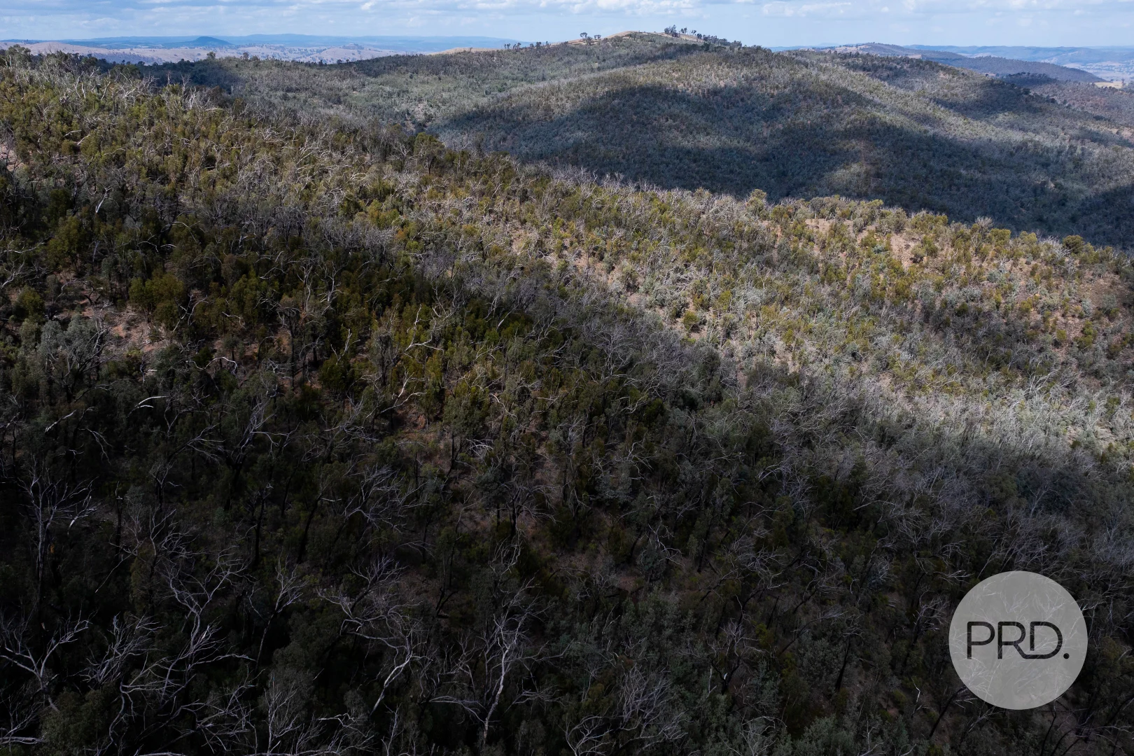 Additional image 57 of 294 Stewarts Road, Oberne Creek NSW 2650