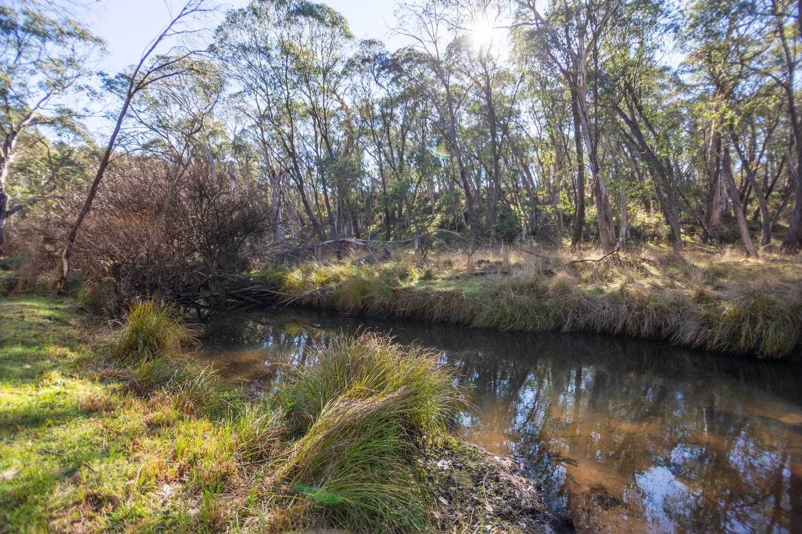 Additional image 12 of 2443 Great Alpine Road, Cobungra VIC 3898