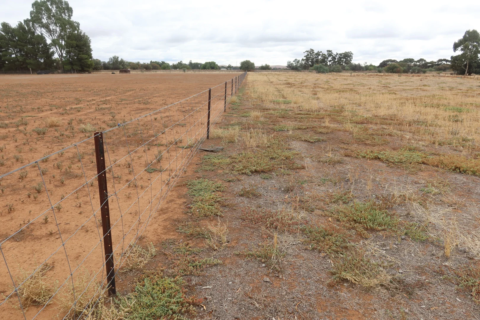Additional image 4 of Lot 41 Wilkins Highway, Jamestown SA 5491