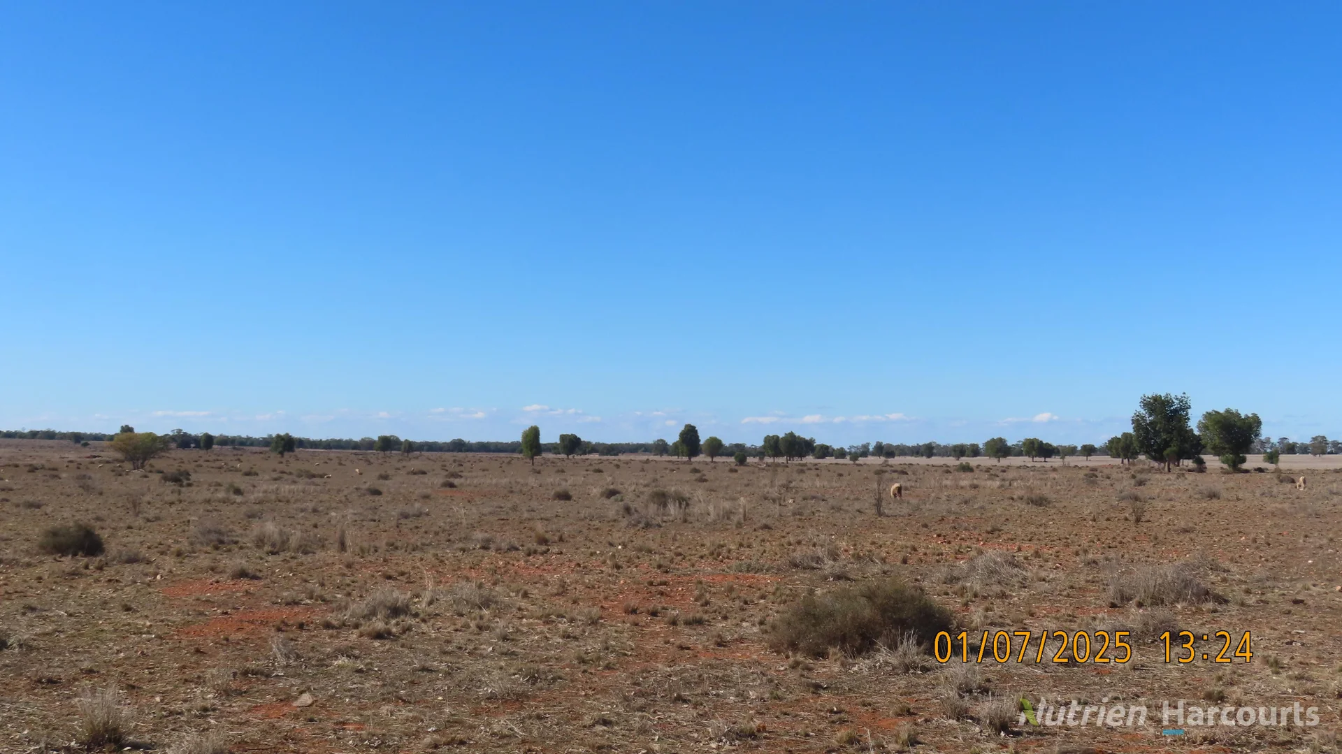 Additional image 10 of * KALLARA, 881 Kallara Road, Hermidale NSW 2831