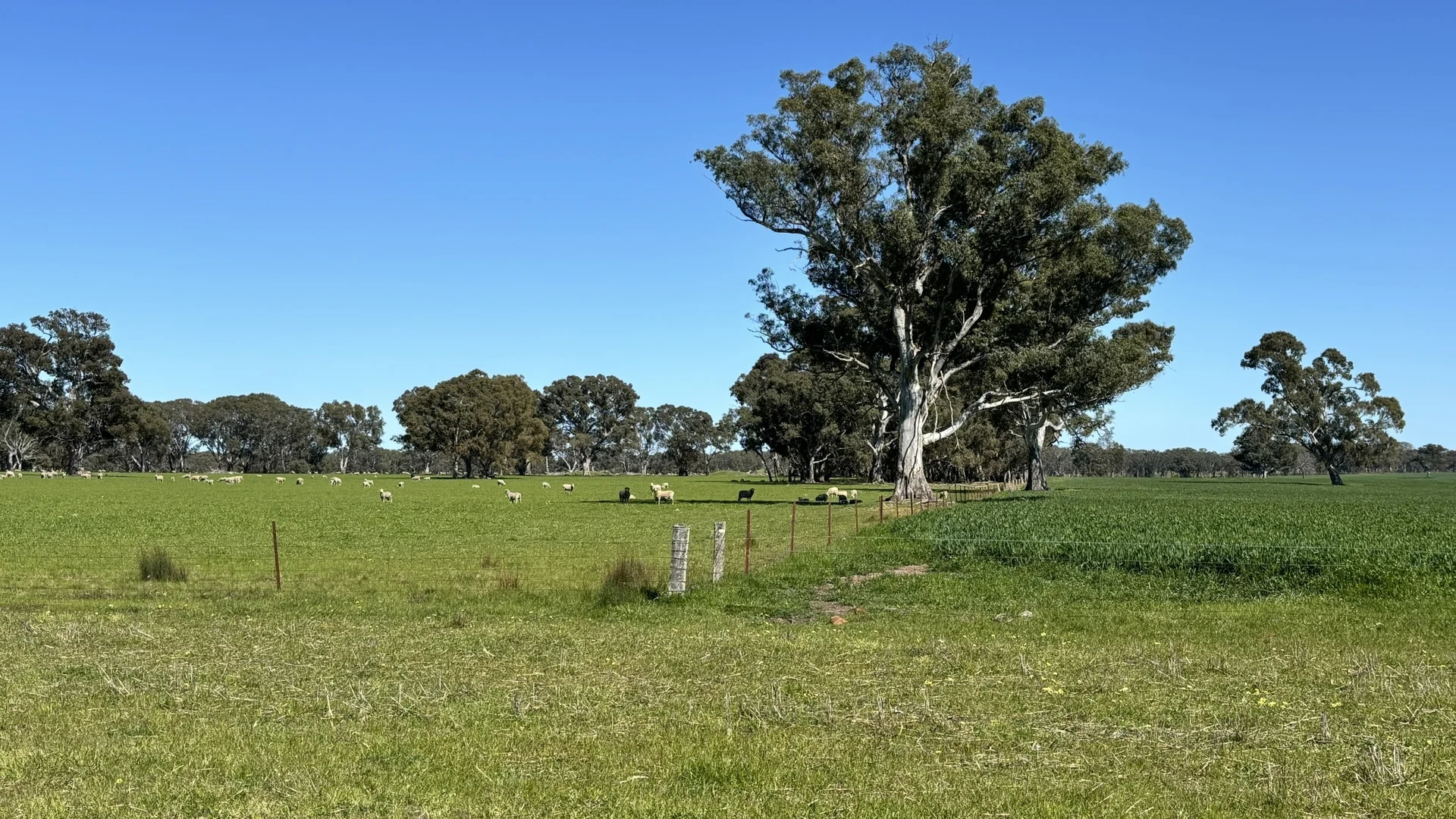 Additional image 30 of 173 Mcclures Rd, Connewirricoo VIC 3318