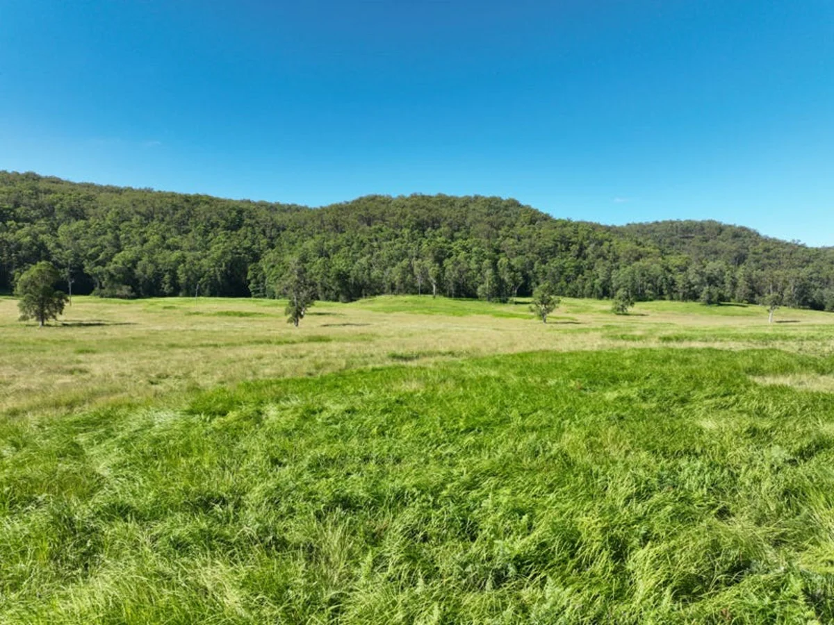 Additional image 5 of 2374 Upper Mongogarie Road, Upper Mongogarie NSW 2470