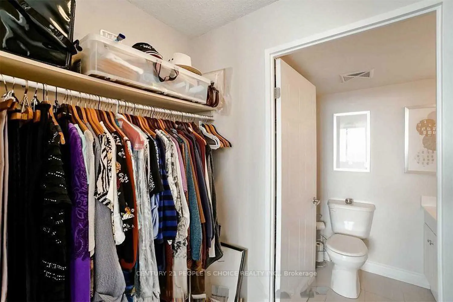 Additional image 11 of 350 Webb Drive 2010