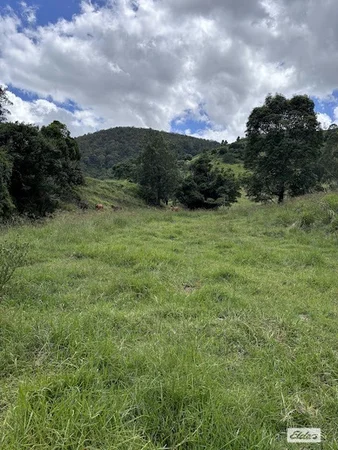 Additional image 18 of 155 Vidoni Road, Mount Delaney QLD 4514
