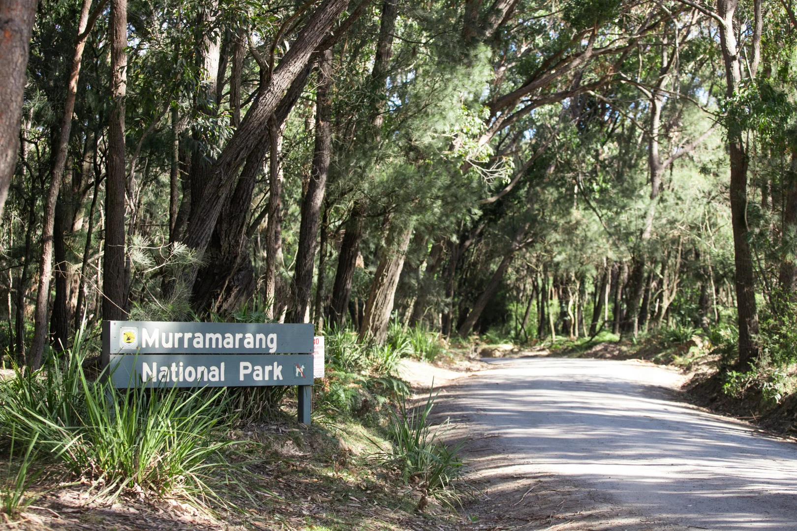 Additional image 13 of 46 Kurrawa Drive, Kioloa NSW 2539