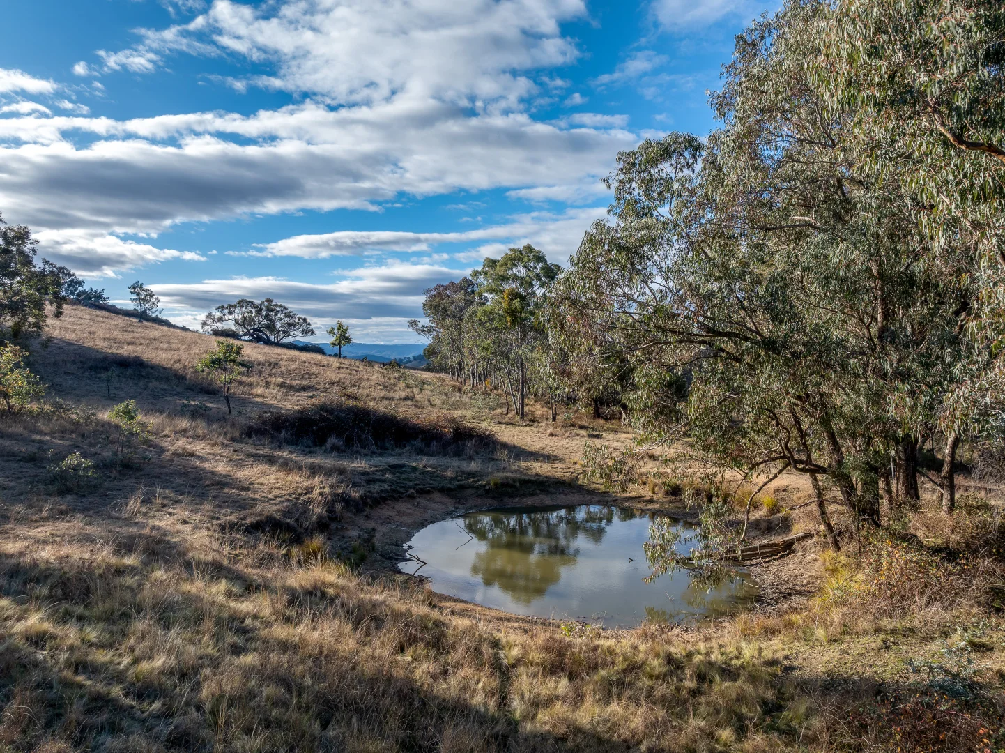 Additional image 3 of 498 Decca Road, Bigga NSW 2583