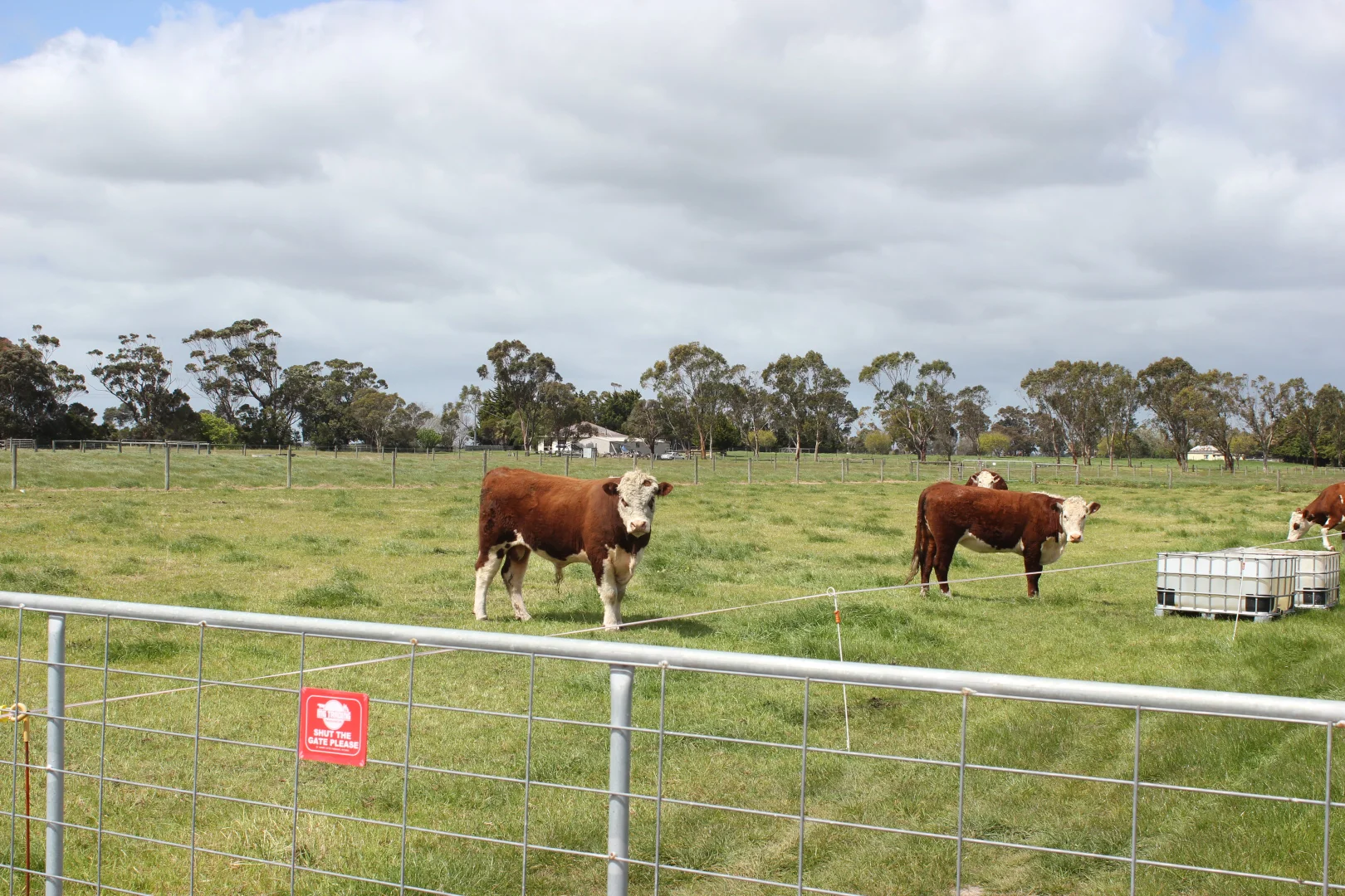 Additional image 18 of 1/1 Pound Road West, Yarram VIC 3971