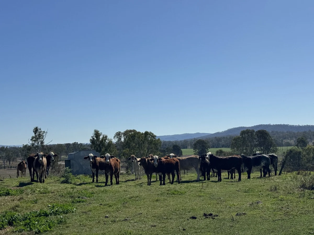 Additional image 24 of 32169 Burnett Highway, Monto QLD 4630