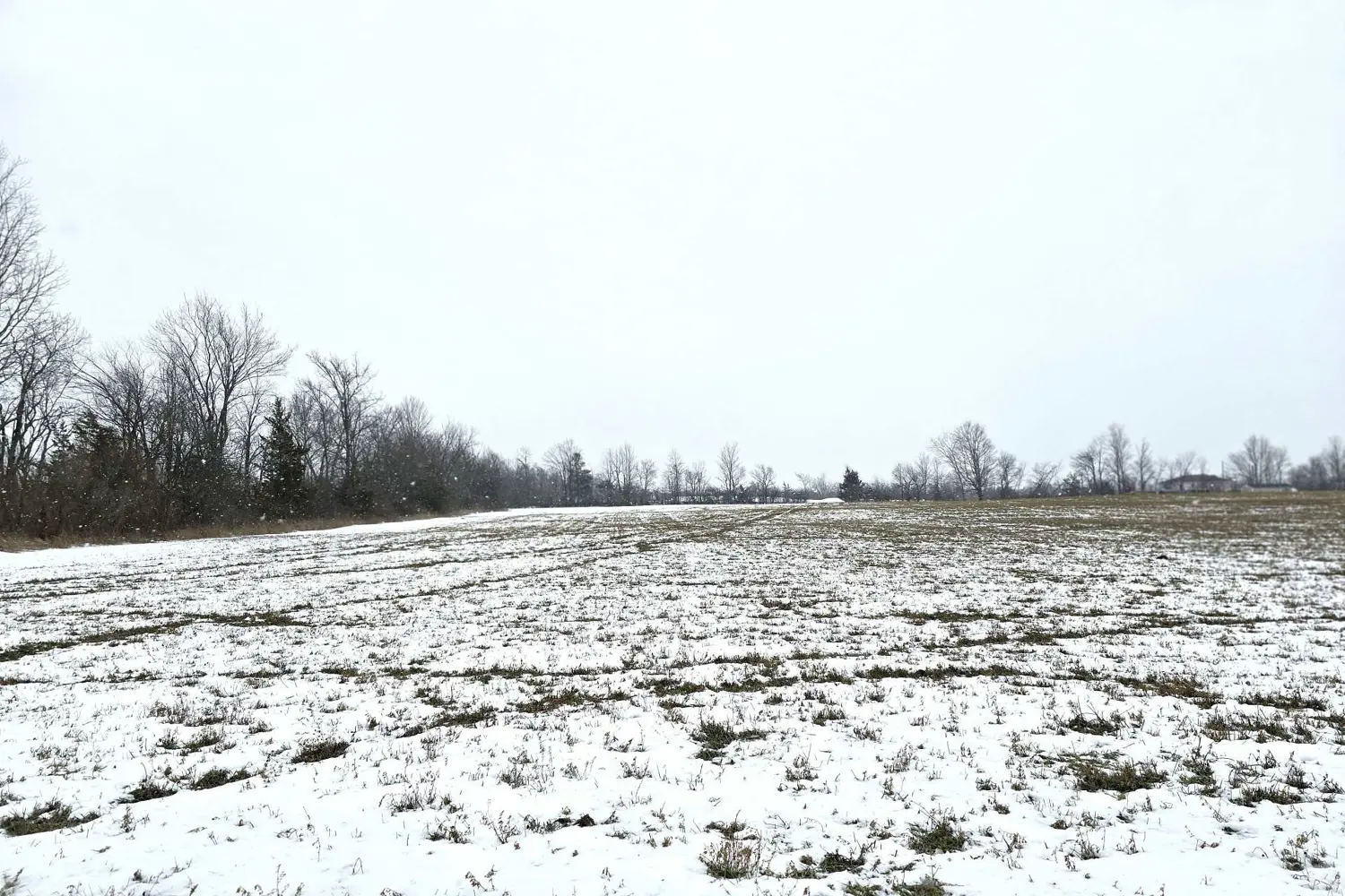 Additional image 9 of 0 Shannonville Road