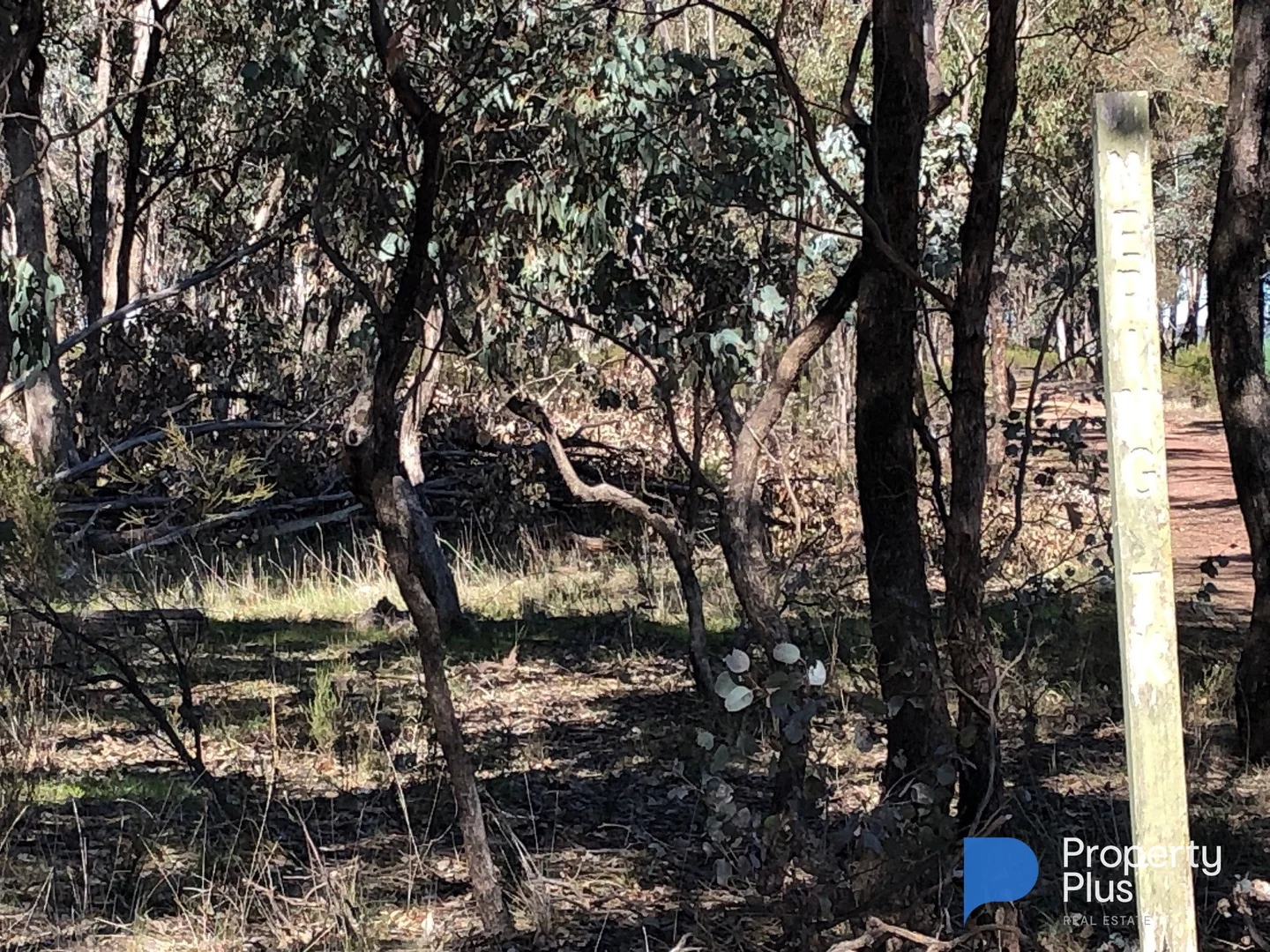 Additional image 7 of 18 & 19 Derby Road, Campbells Forest VIC 3556