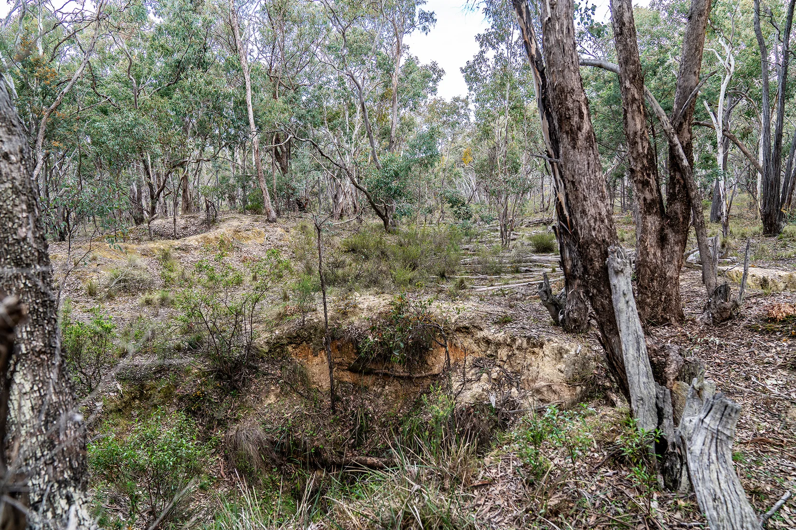 Additional image 12 of 125 Dirt Hole Creek Road, Mudgee NSW 2850