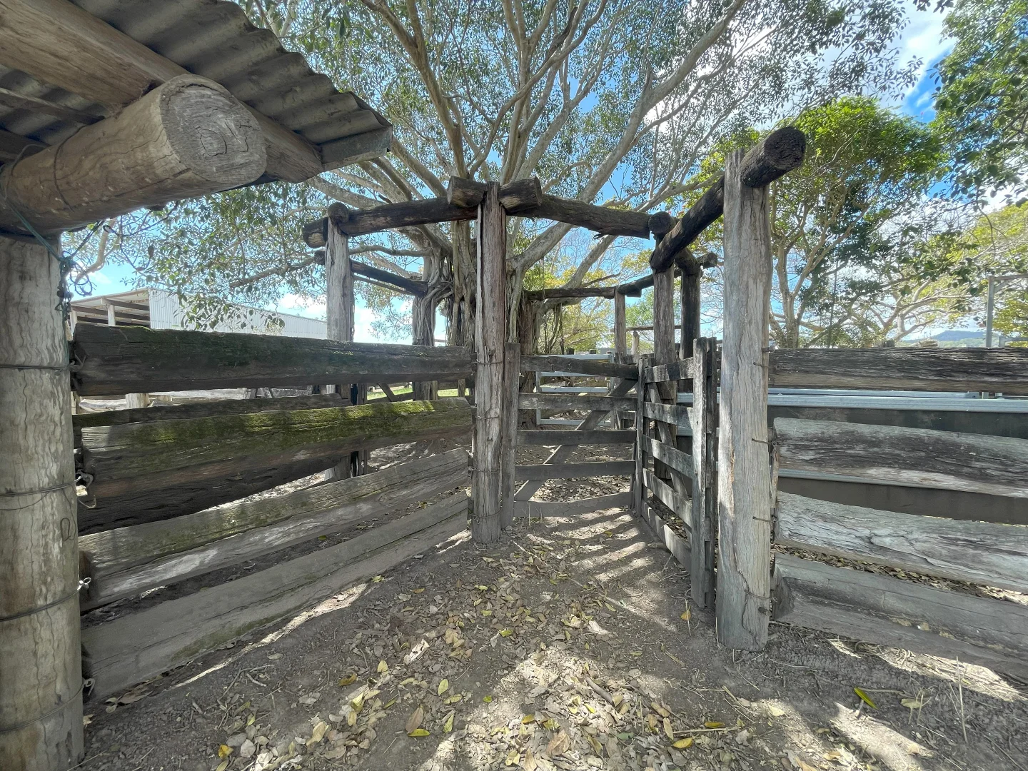Additional image 17 of 145 Midge Point Rd, Bloomsbury QLD 4799