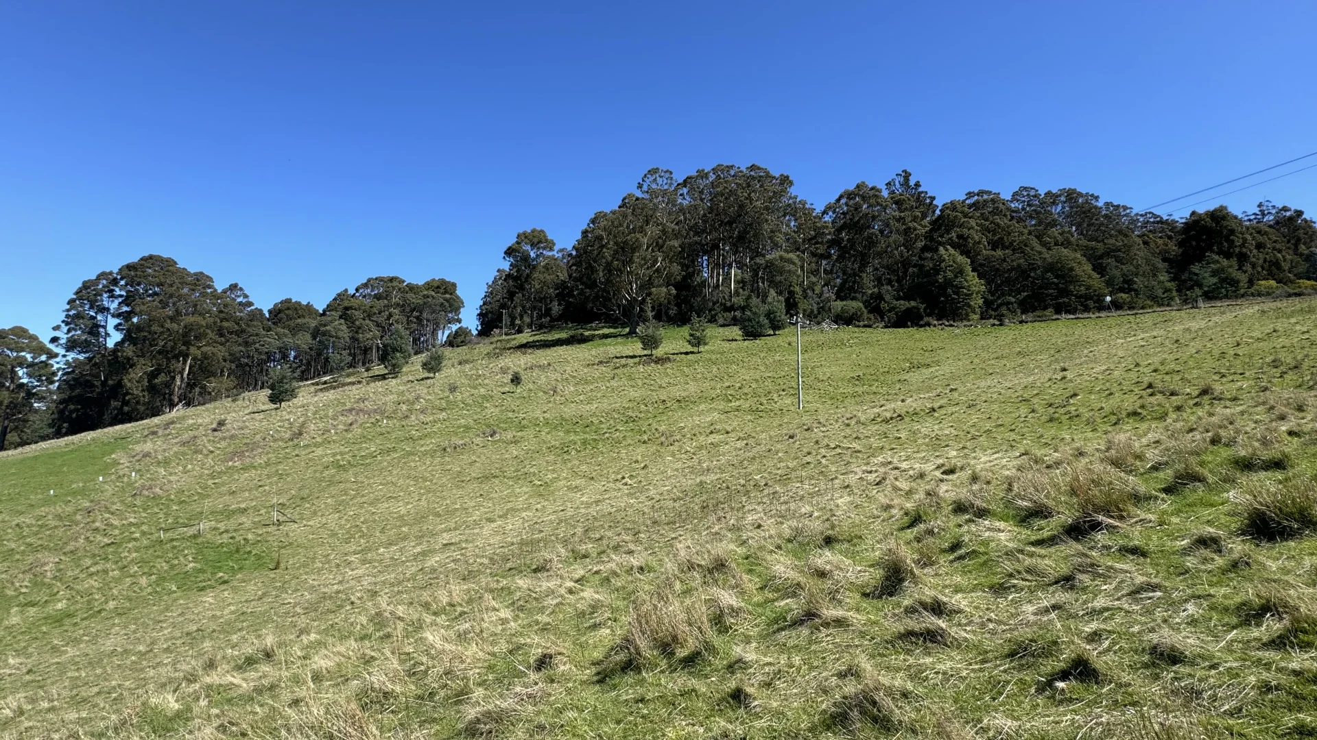 Additional image 28 of Lot 1 Walpole Lane, Franklin TAS 7113