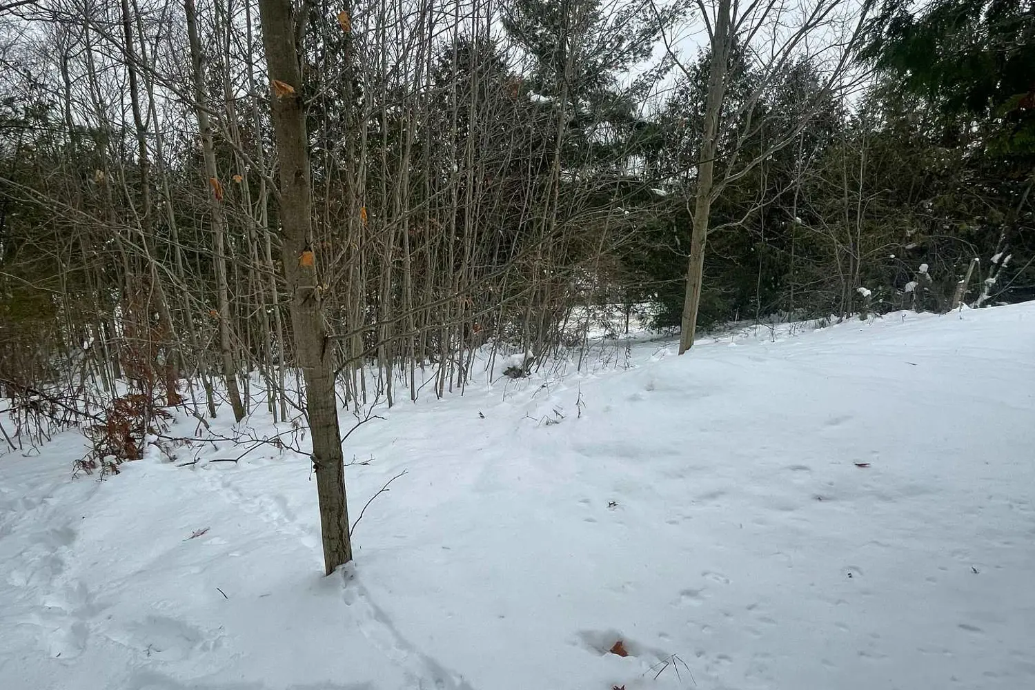 Additional image 2 of Ptlt 37 Trent View Drive