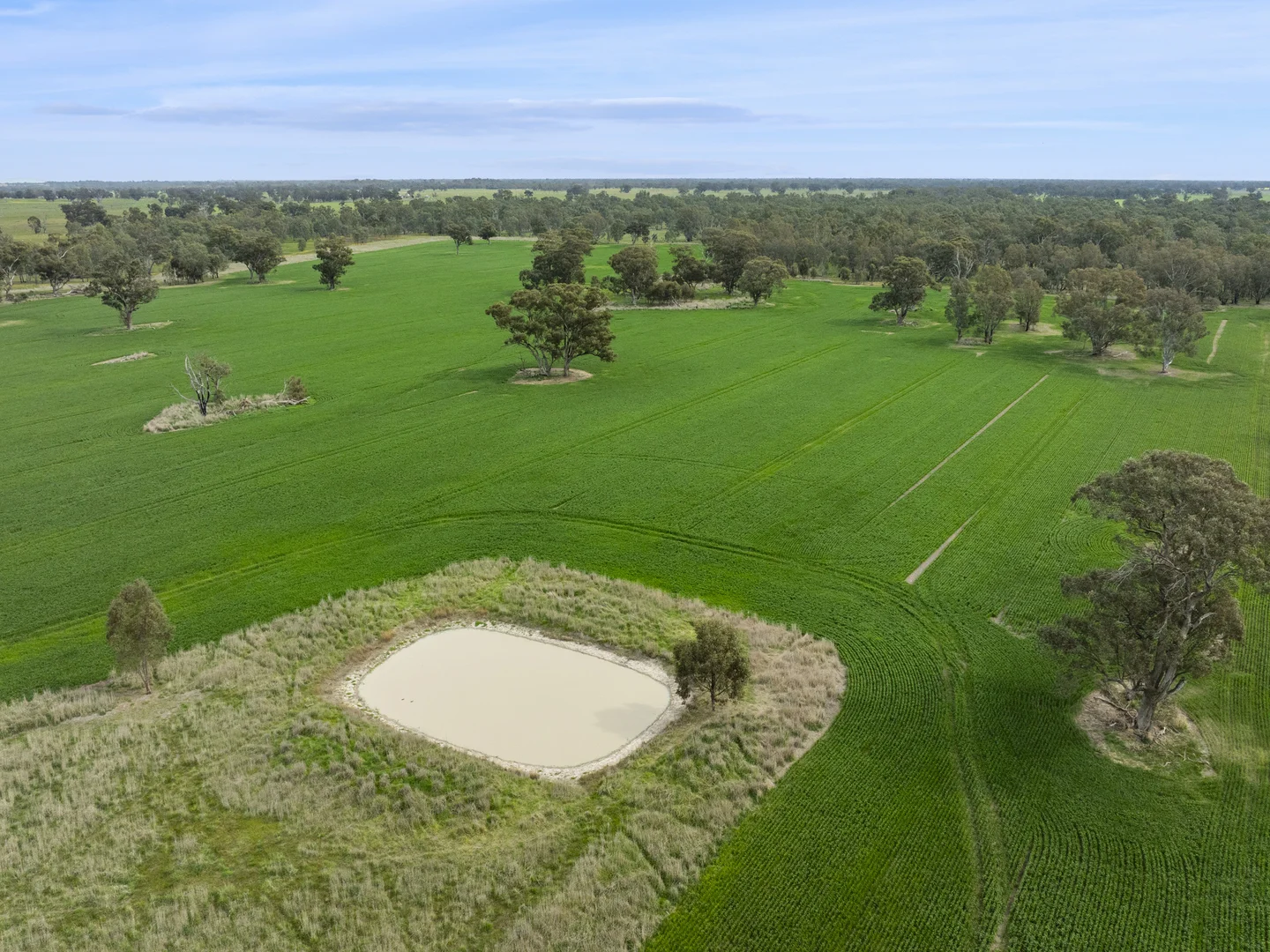 Additional image 5 of 800 Bridge Road, Caniambo VIC 3630