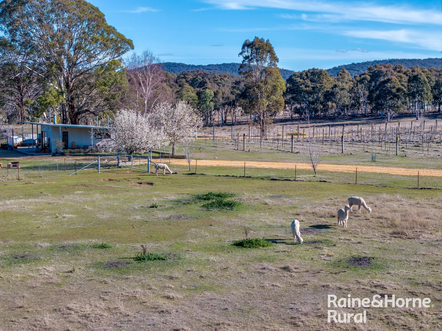 Additional image 3 of 1917 Collector Road, Collector NSW 2581