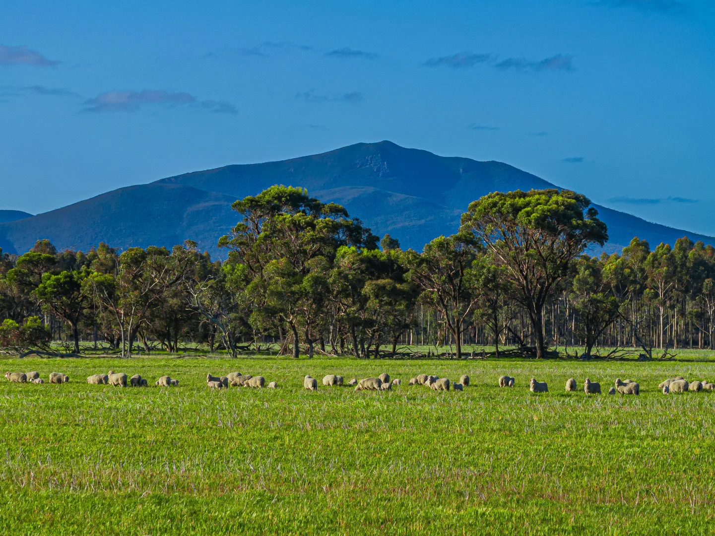 Additional image 2 of 712 View Range Road, Kendenup WA 6323
