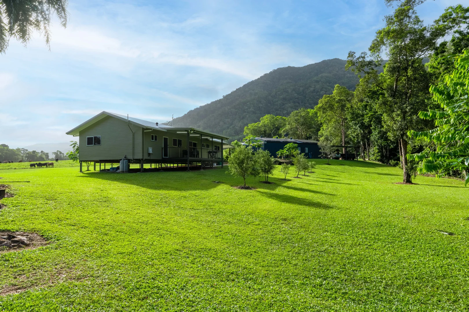 Additional image 33 of 633 Cape Tribulation Road, Kimberley, Daintree QLD 4873