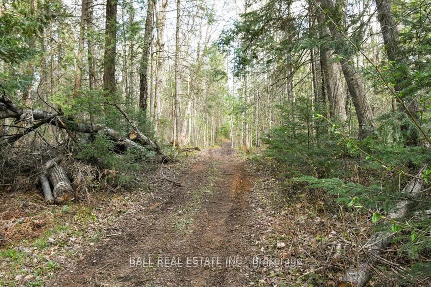 Additional image 7 of 0 Clydesdale Road
