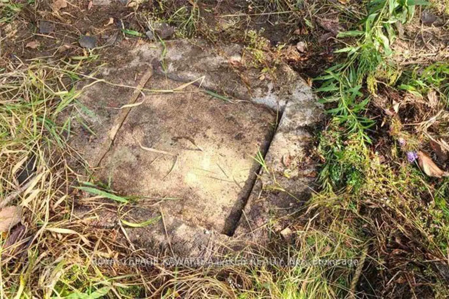 Additional image 9 of 7545 Highway 35