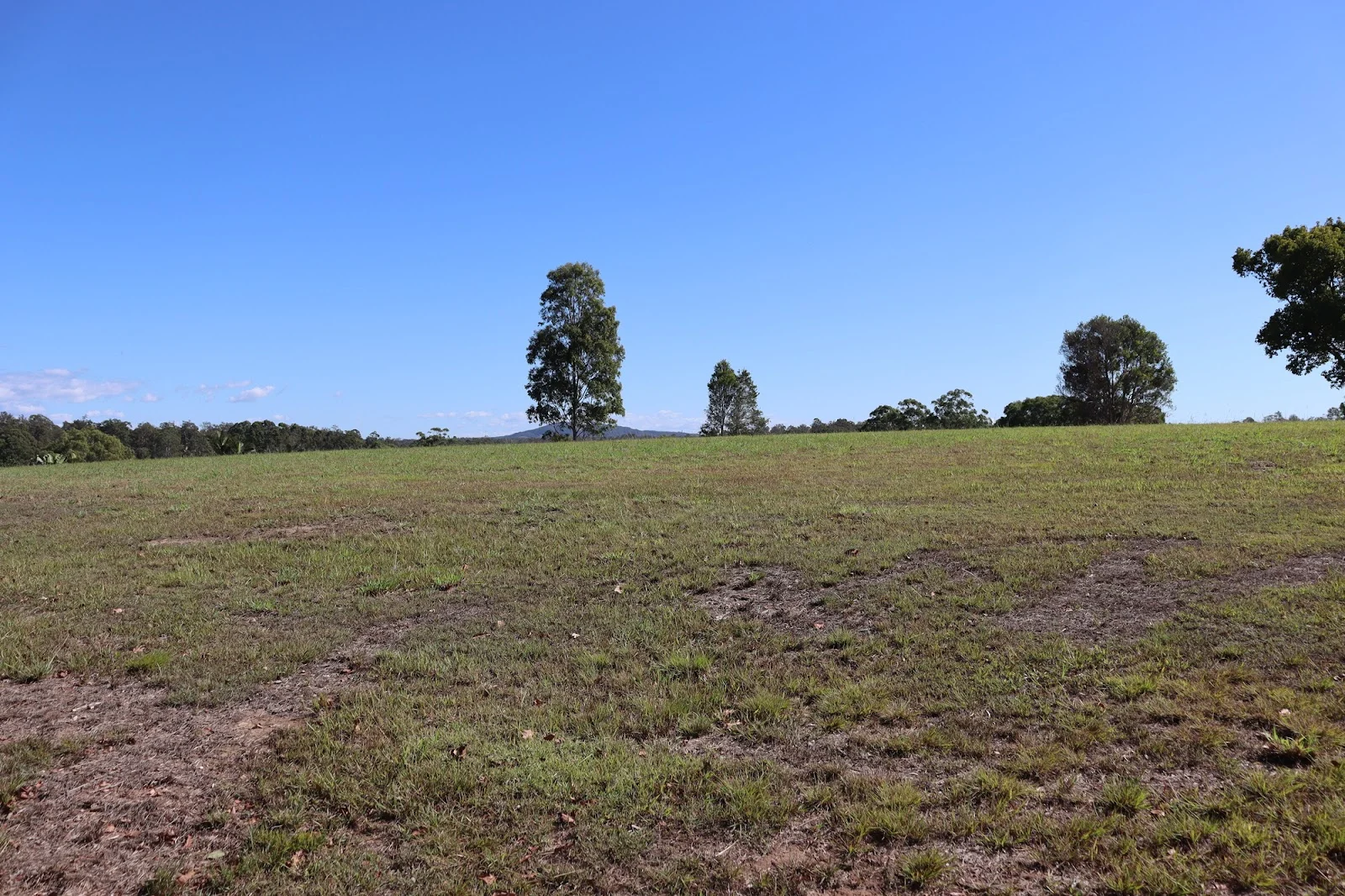 Additional image 6 of Lot 5 "Acres on Taylor", Veteran QLD 4570