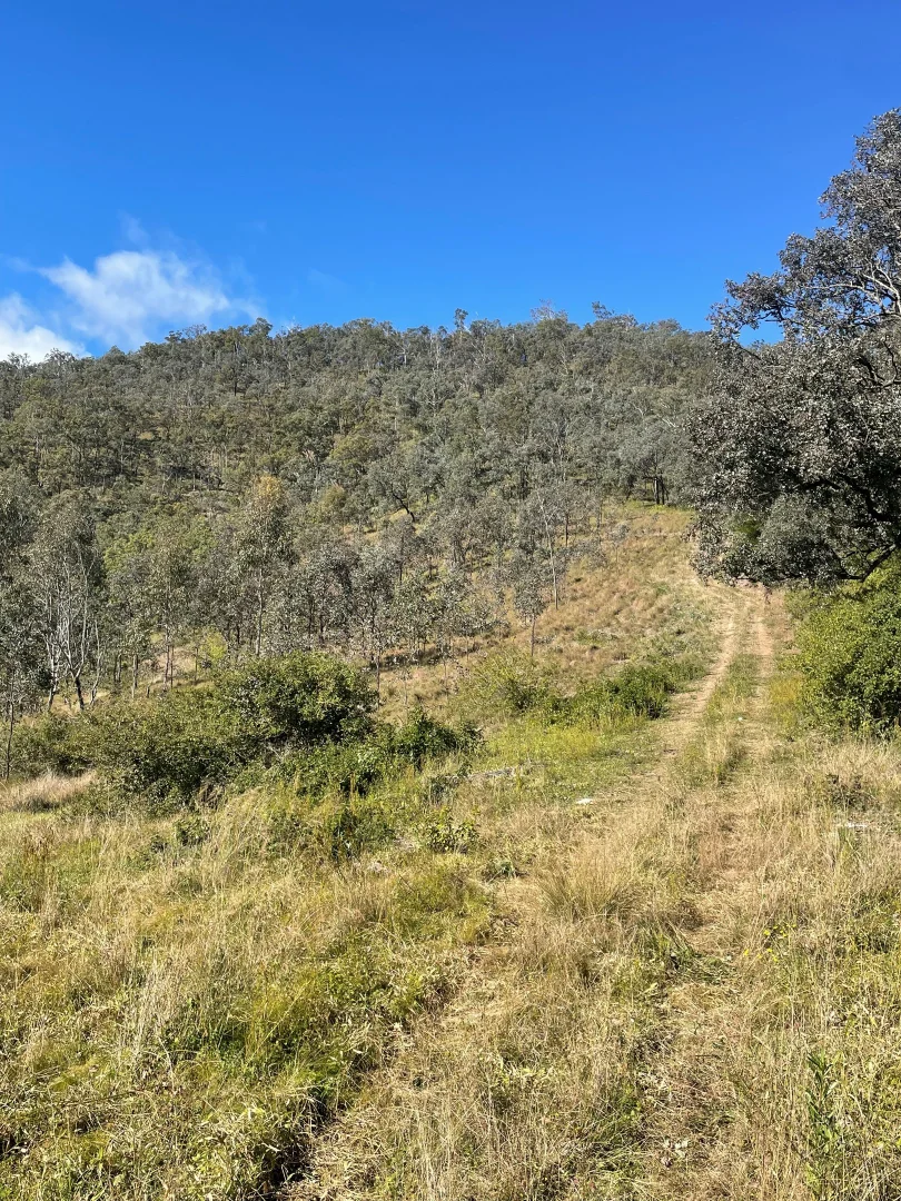 Additional image 9 of Lot 16 Gilgurry, Rivertree NSW 2372