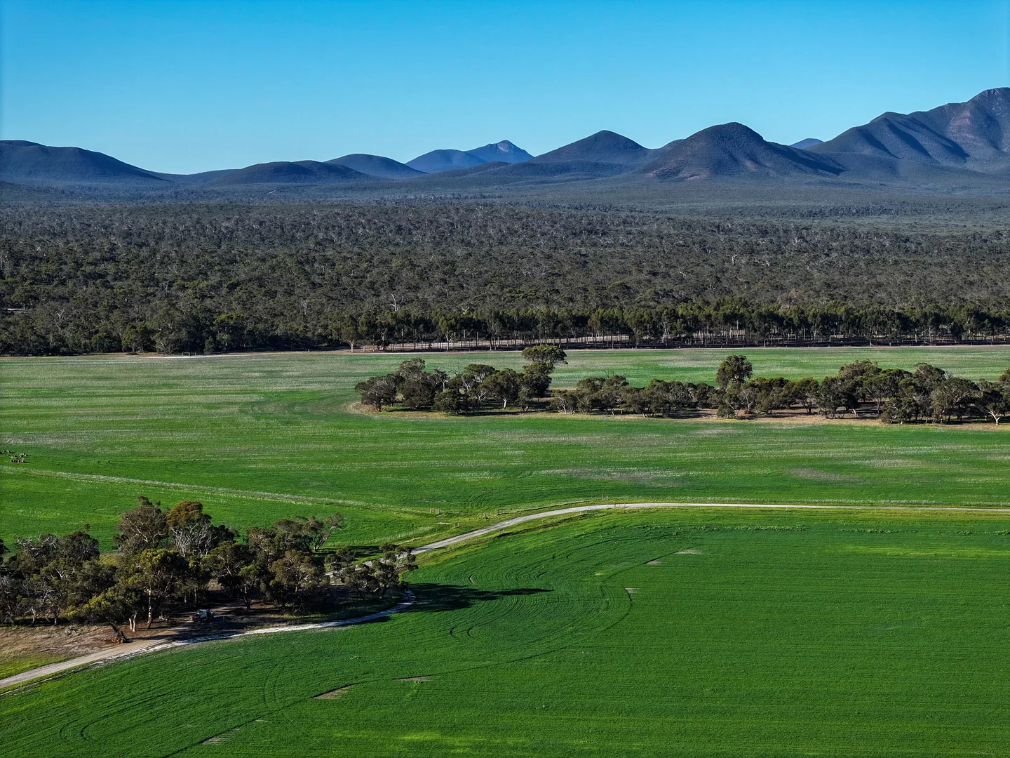 Additional image 16 of 712 View Range Road, Kendenup WA 6323