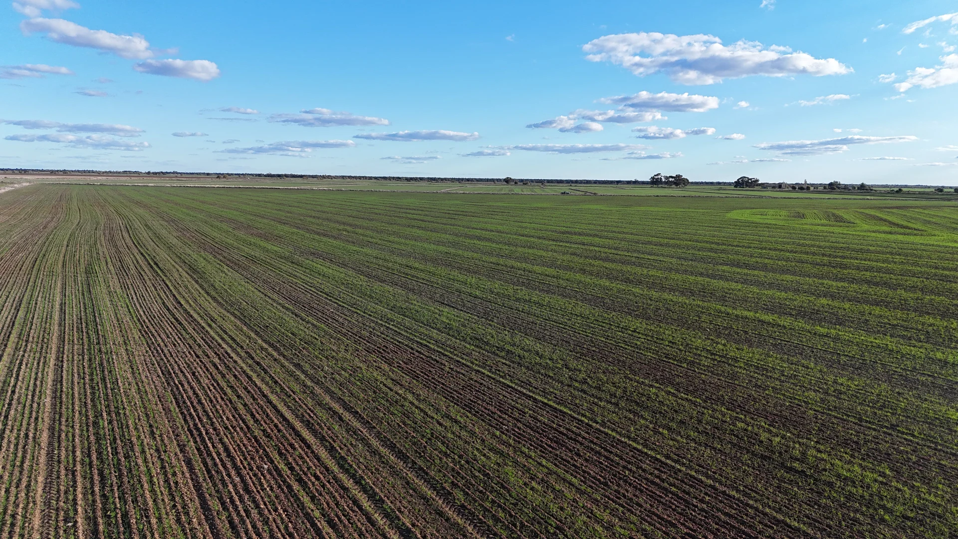 Additional image 21 of Farm 205/347 Fairlie Grange Road, Coleambally NSW 2707