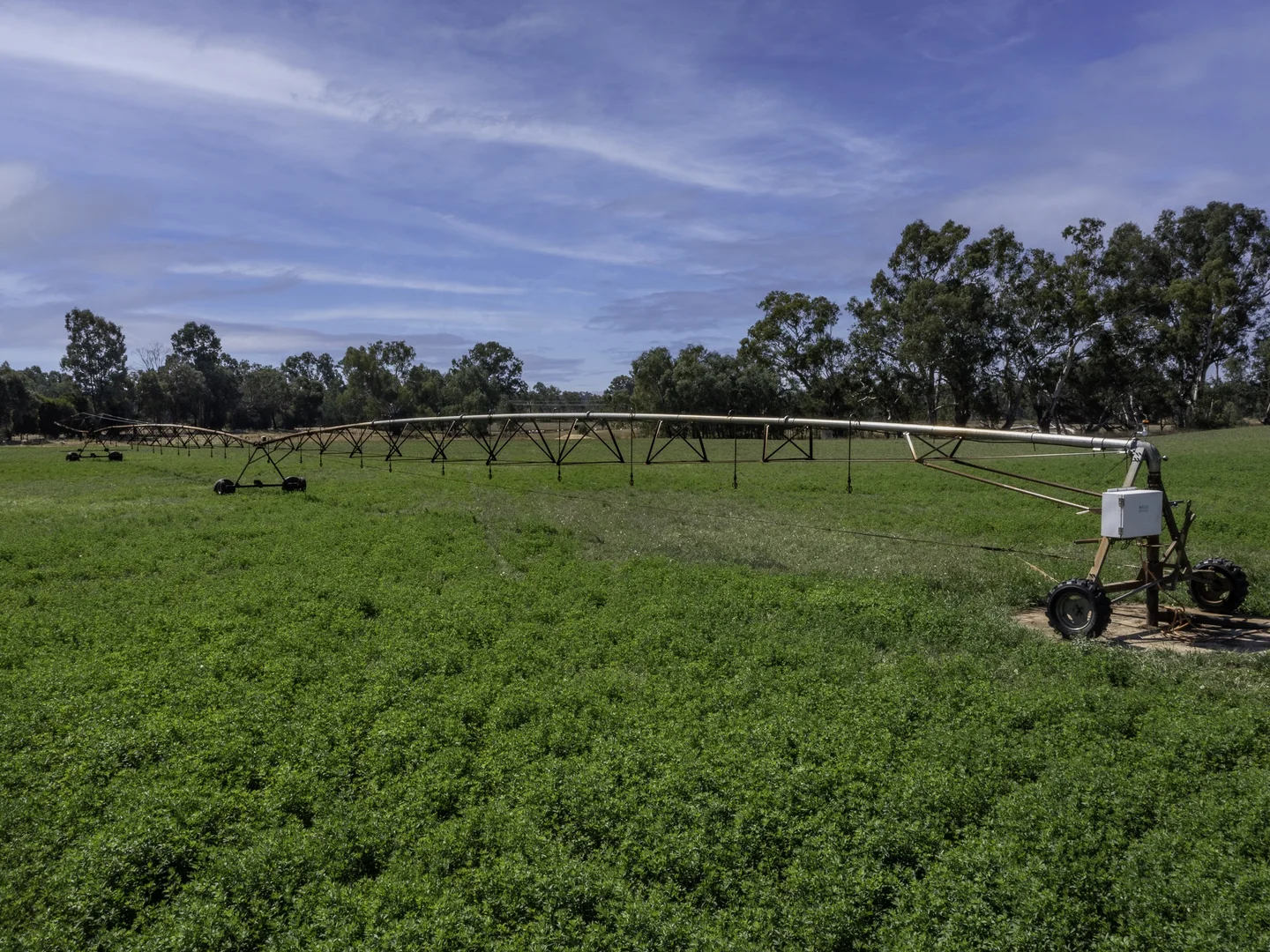 Additional image 47 of 2271 Snow Road, Markwood VIC 3678