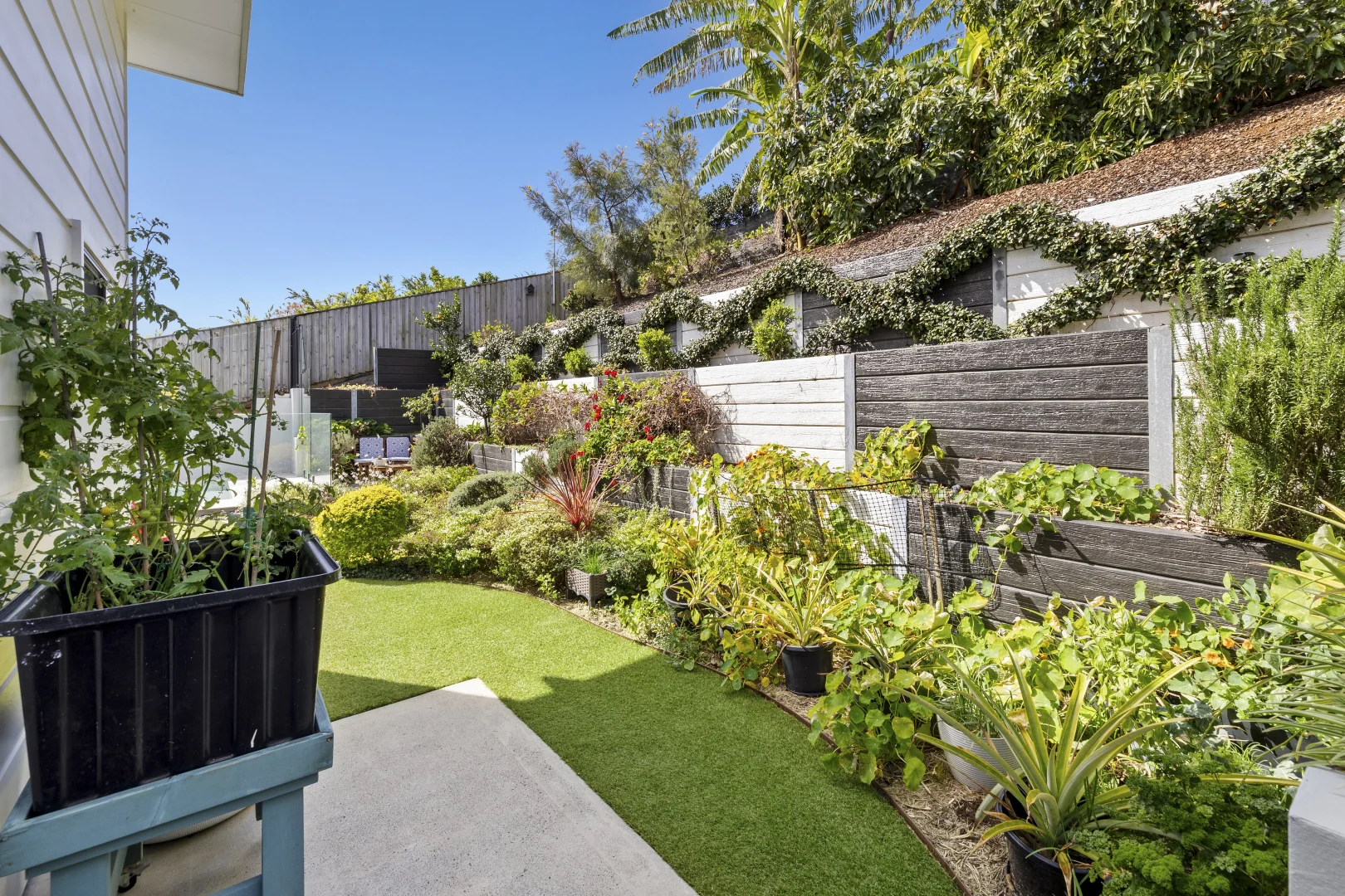 Additional image 29 of 4 Bartle Frere Close, Terranora NSW 2486