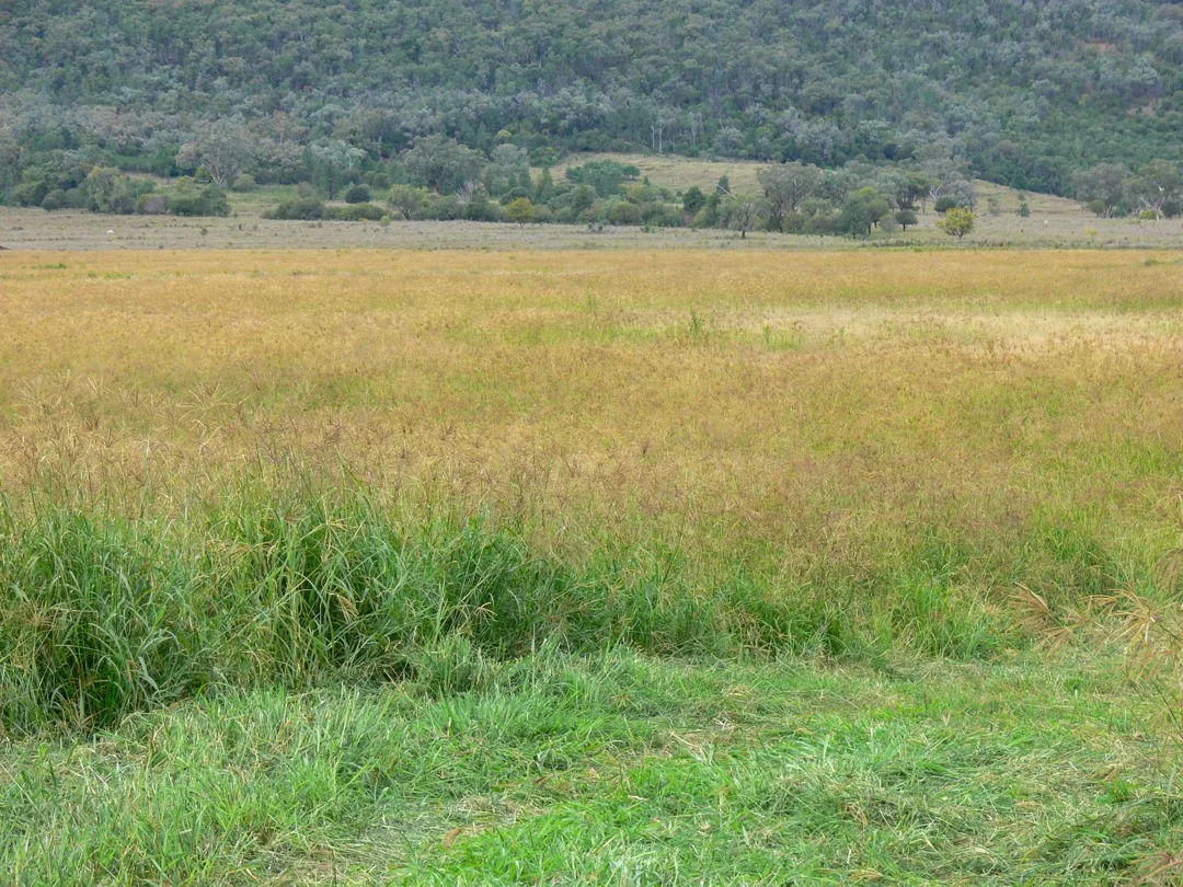 Additional image 14 of The Glen, Berrigal NSW 2390