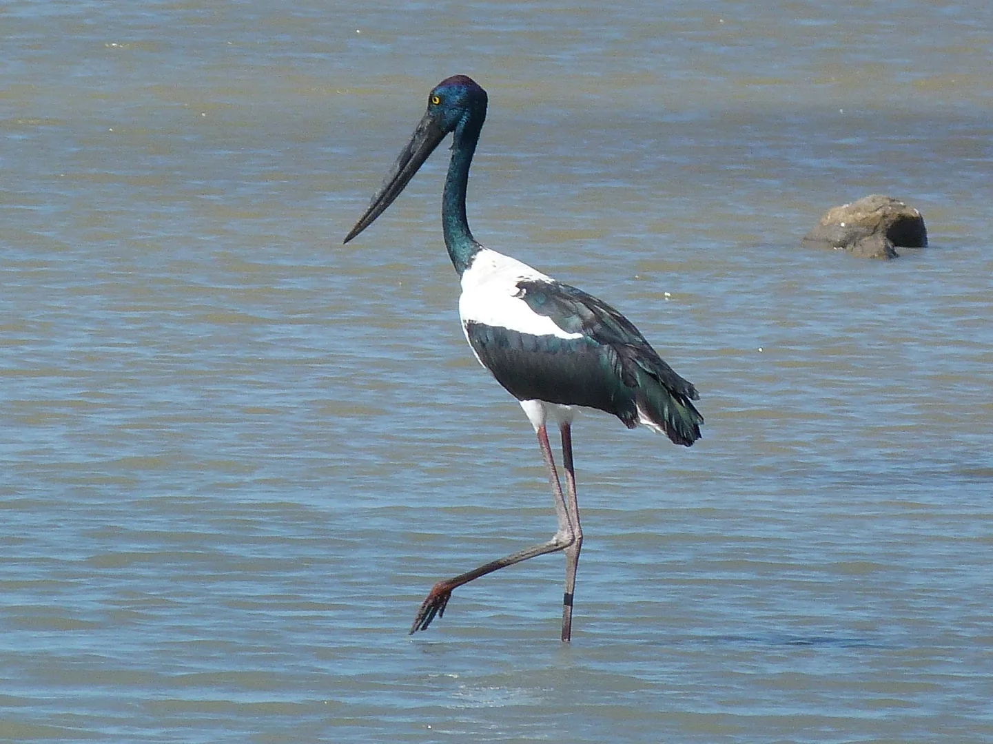 Additional image 23 of Notch Point Road, Ilbilbie QLD 4738