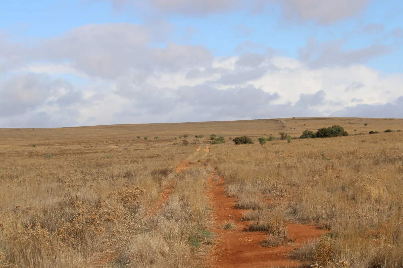 Additional image 39 of 1860 Cleary Road, Terowie SA 5421