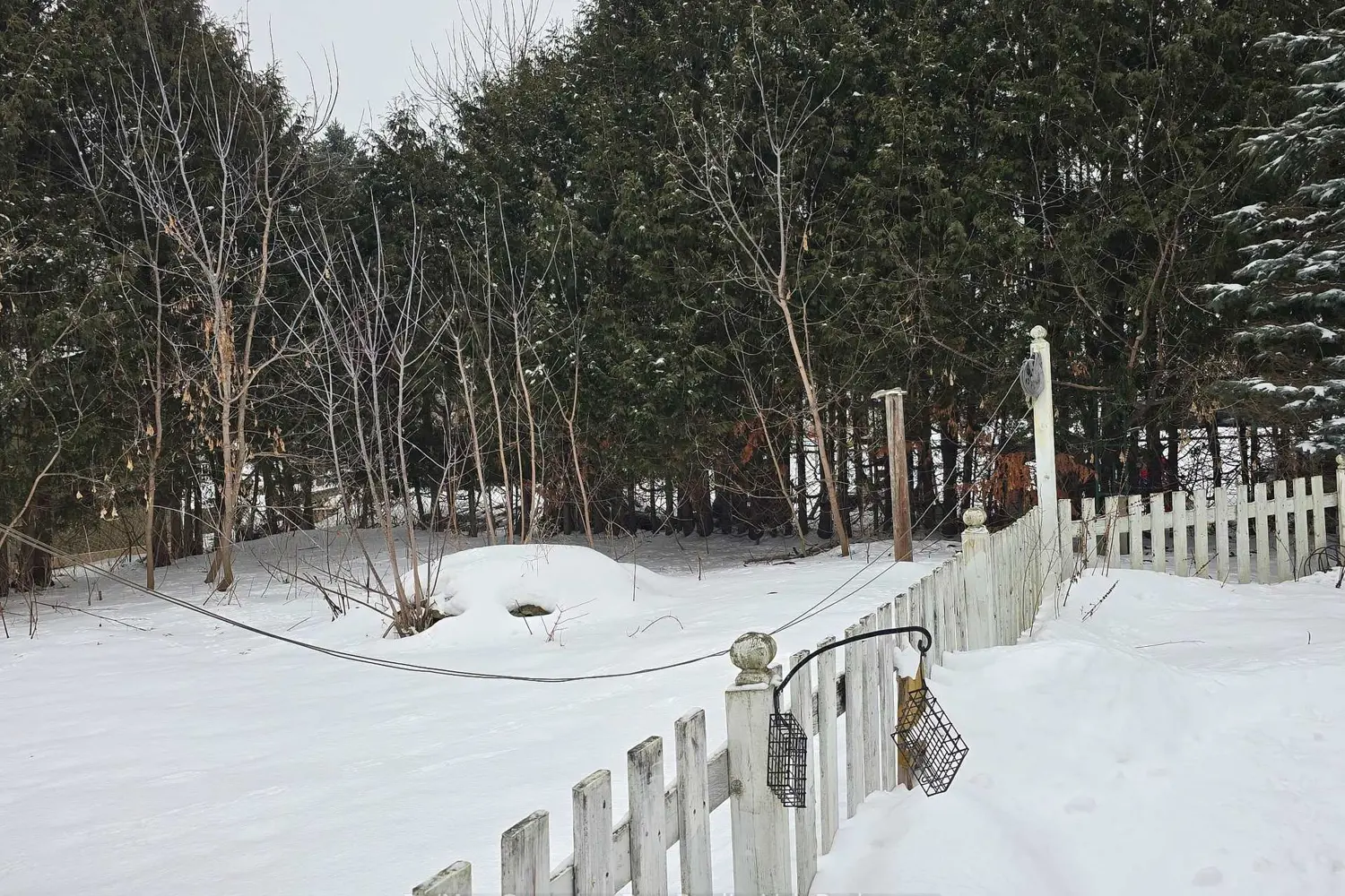 Additional image 17 of 8 Mill Street