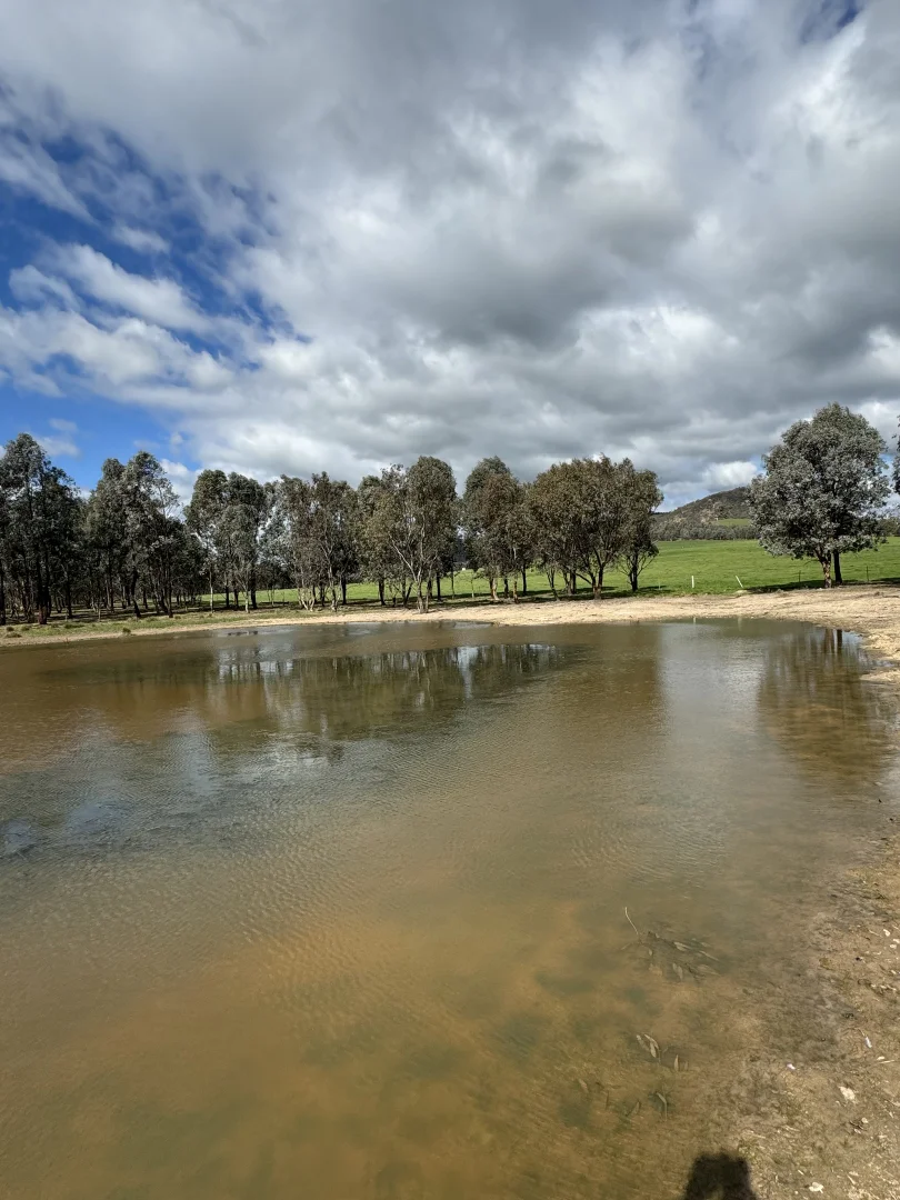 Additional image 35 of 97 Granite Road, Lurg VIC 3673