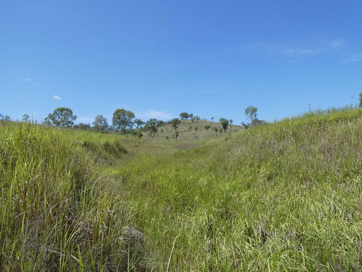 Additional image 16 of Lot 14 Monto Mount Perry Road, Mungy QLD 4671