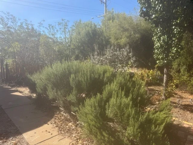 Additional image 25 of 35 Mildura Way, Charlton VIC 3525