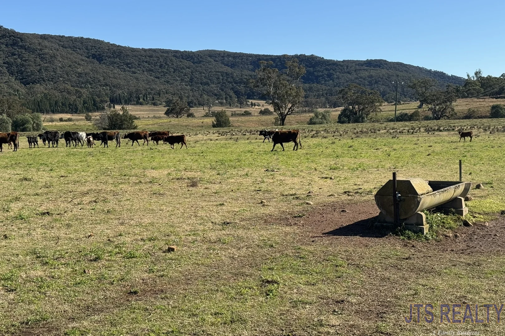 Additional image 10 of 2039 Golden Highway, Sandy Hollow NSW 2333