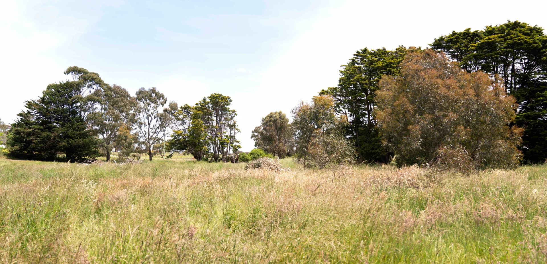 Additional image 2 of Wright Street, Skipton VIC 3361