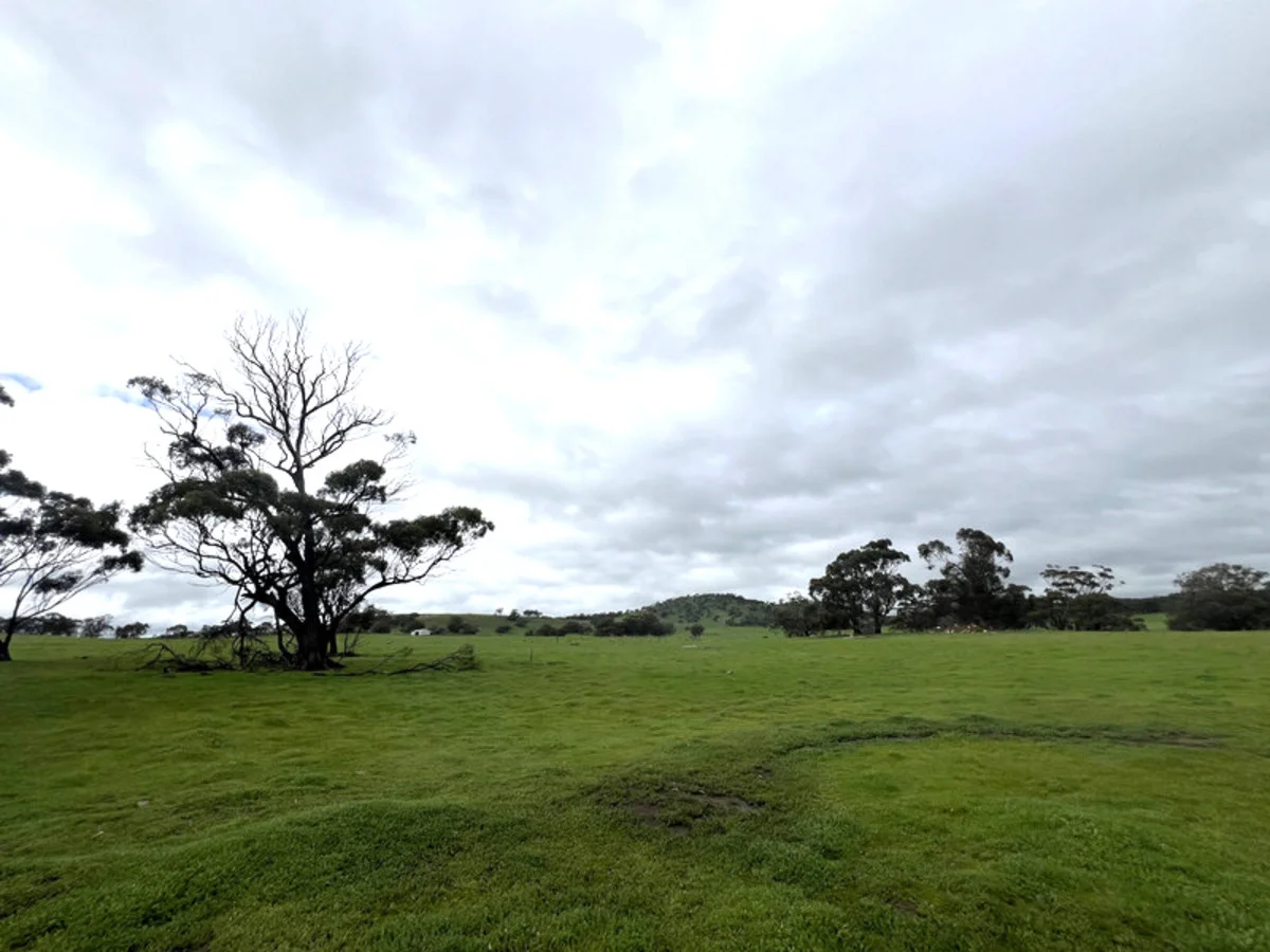 Additional image 9 of 76 Goomalling-Toodyay Road, Dumbarton WA 6566