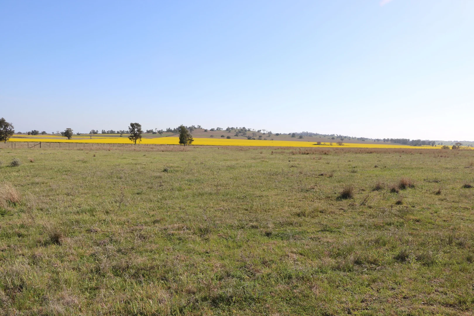 Additional image 14 of 696 Back Trundle Road, Parkes NSW 2870