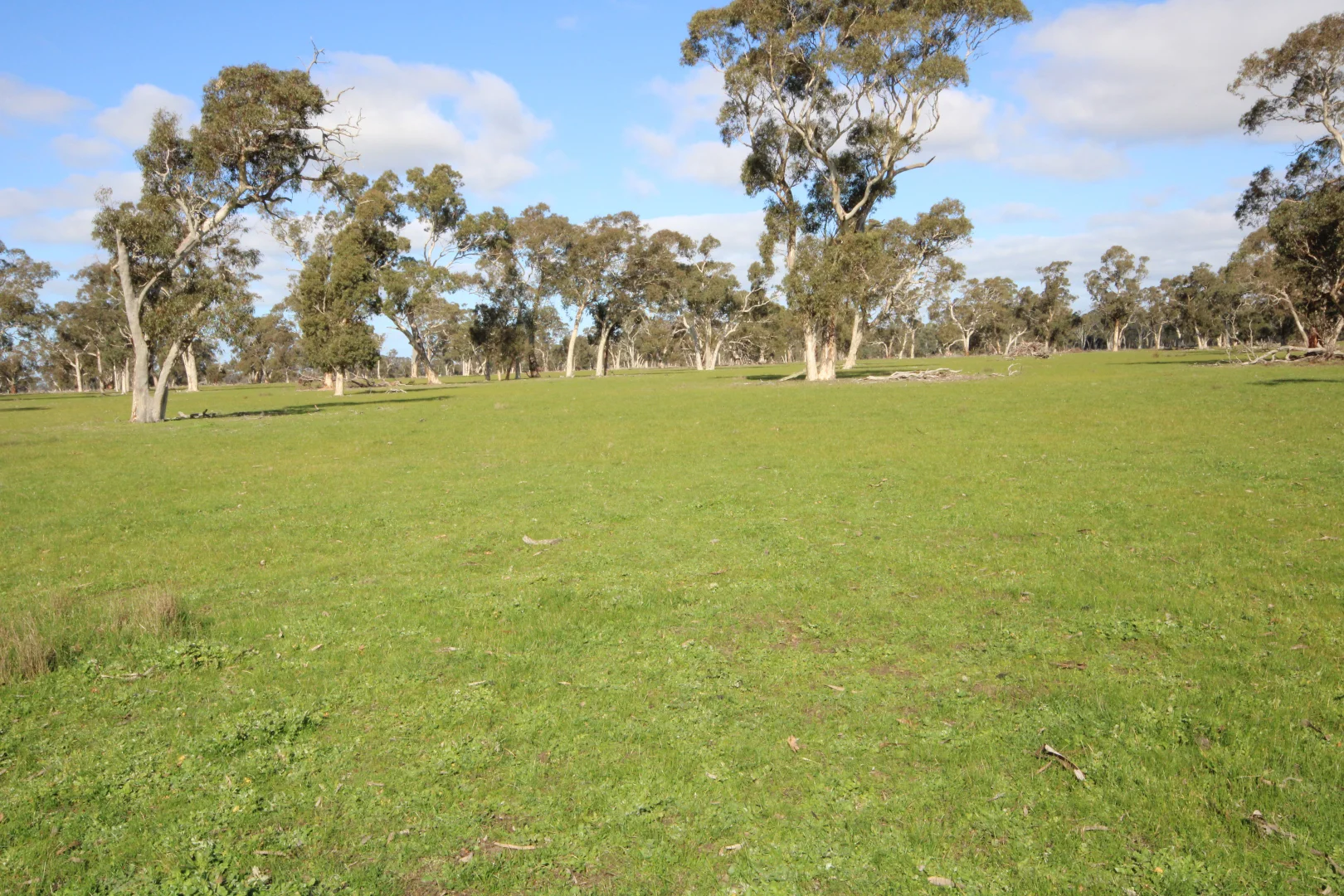 Additional image 28 of 202 Malones Road, Naracoorte SA 5271