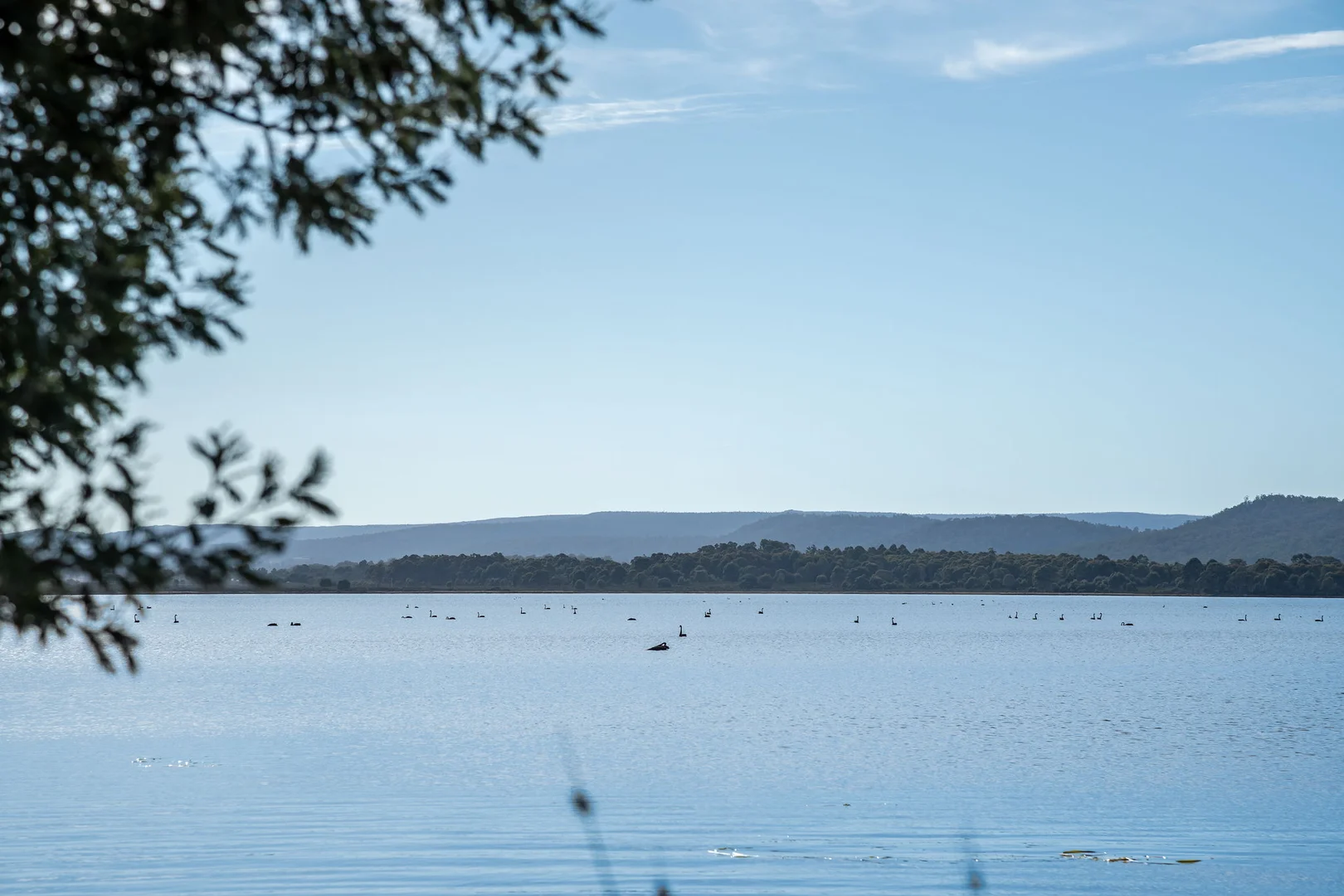 Additional image 16 of 1 & 2/172 Woodwards Bay Road, Bradys Lake TAS 7140