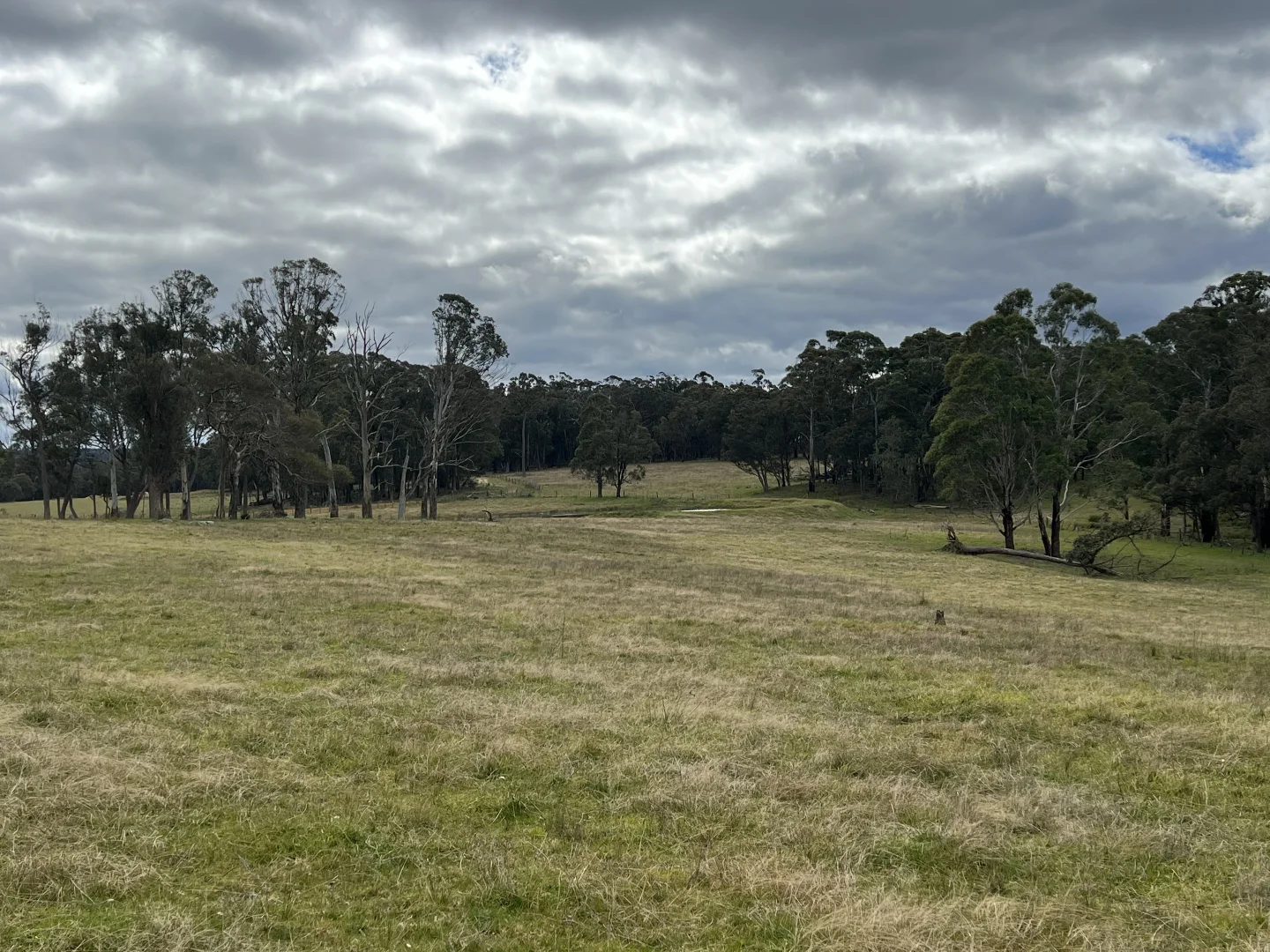 Additional image 10 of * Coopers Road, Red Range NSW 2370