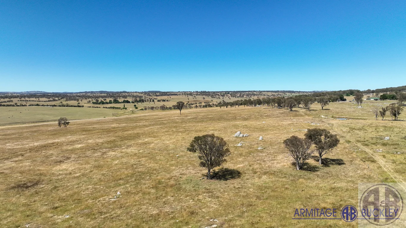 Castle Doyle NSW 2350 photo 2